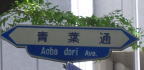 ”仙台 青葉通”